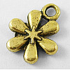 Tibetan Style Alloy Charms LS-GLF0298Y-NF-1