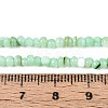Natural Freshwater Shell Dyed Beads Strands SHEL-T020-29B-03-4