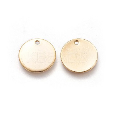 304 Stainless Steel Charms STAS-I098-06-1