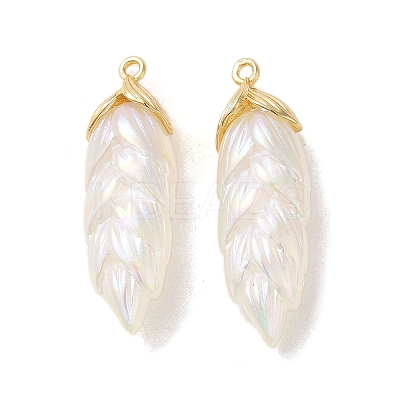 Rainbow Iridescent Plating Resin Pendants LS-RESI-C047-03B-G-1