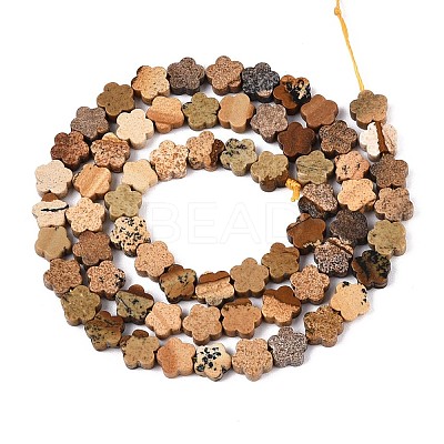 Natural Picture Jasper Beads Strands G-N257-24A-08-1