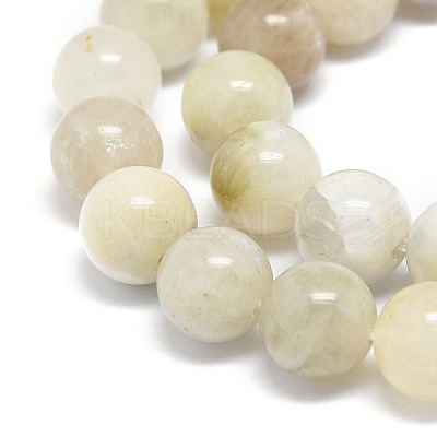 Natural Rainbow Moonstone Beads Strands G-O201A-17A-1