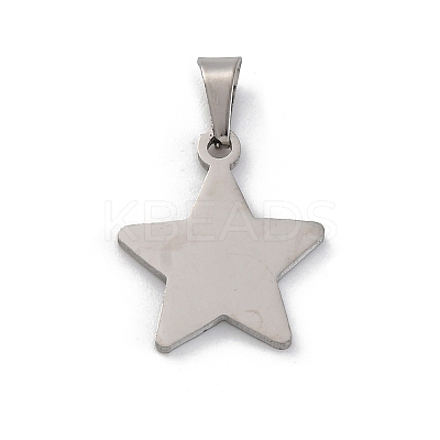 304 Stainless Steel Pendants STAS-Z114-03P-02-1