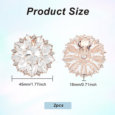 2Pcs Alloy Rhinestone Shoe Decorations AJEW-FG0003-72B-1