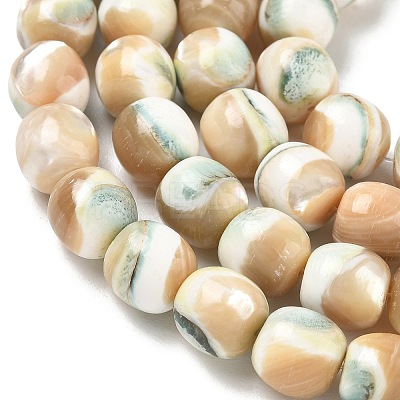 Natural Seashell Shell Beads Strands SH-CBAFEDD-01B-1