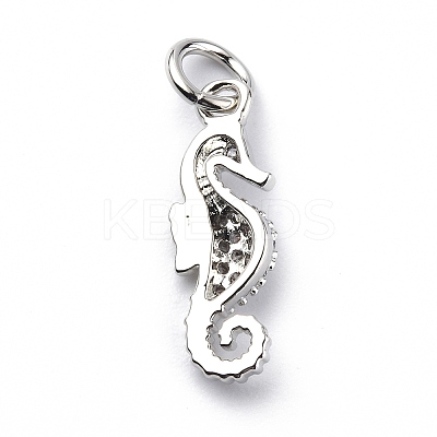 Brass Micro Pave Cubic Zirconia Charms ZIRC-F131-06P-1