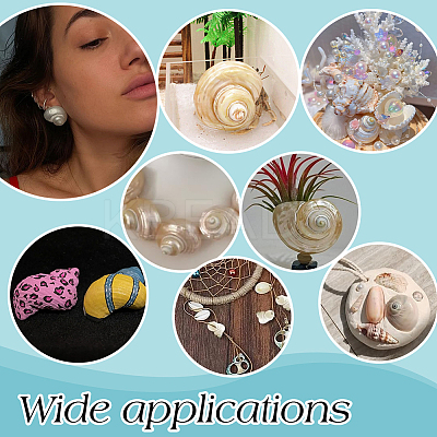 15Pcs Mini Natural Spiral Shell Beads FIND-PH0026-80-1