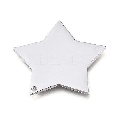 Tarnish Resistant 304 Stainless Steel Pendants LS-STAS-L238-108B-P-1