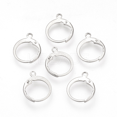 Tarnish Resistant 304 Stainless Steel Leverback Earring Findings STAS-S073-01-1