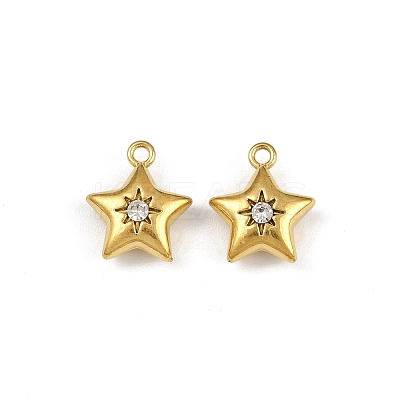 304 Stainless Steel Charms STAS-I342-10G-1
