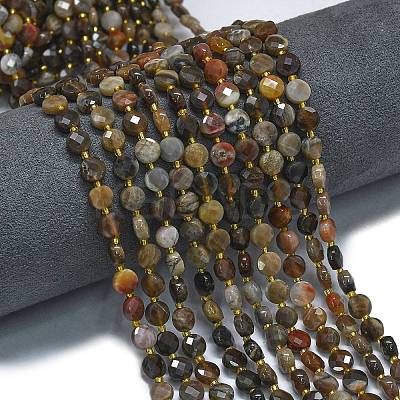 Natural Petrified Wood Beads Strands G-K389-B33-01-1