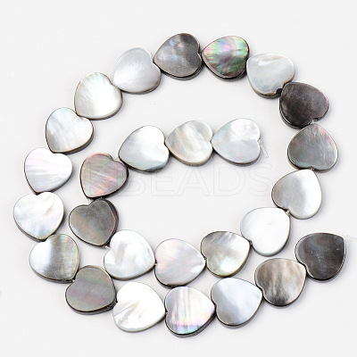 Natural Black Lip Shell Beads Strands SSHEL-Q298-11A-1