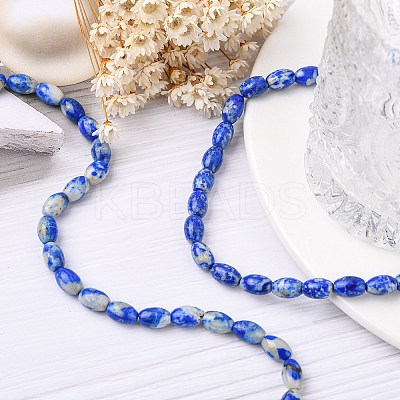 Natural Lapis Lazuli Beads Strands G-K311-10B-03-1