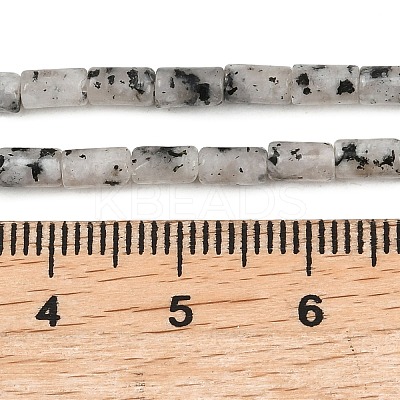 Natural Seame Jasper Beads Strands G-P600-B11-01-1