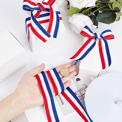Polyester Grosgrain Ribbon SRIB-WH0009-02B-1