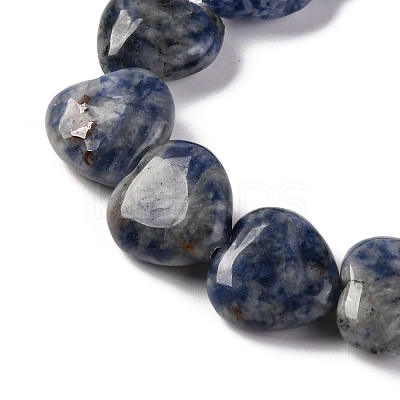 Natural Blue Spot Jasper Beads Strands G-I372-A13-02-1