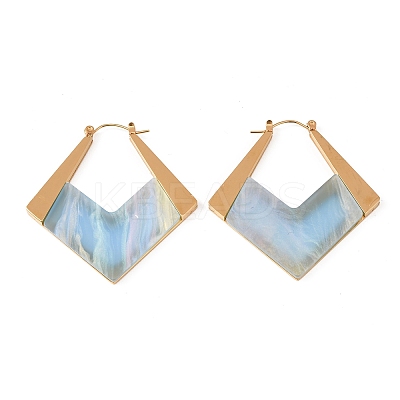 304 Stainless Steel & Acrylic Hoop Earrings EJEW-T054-05G-1