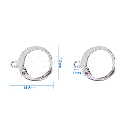 Tarnish Resistant 316 Surgical Stainless Steel Leverback Earring Findings A-STAS-I045-02-1