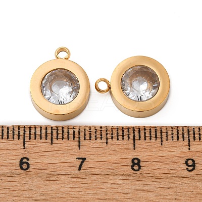 304 Stainless Steel Charms STAS-C129-05G-02-1