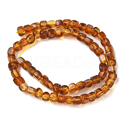 Natural Amber Beads Strands G-K387-E01-01-1