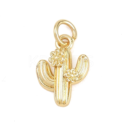 Brass Micro Pave Cubic Zirconia Pendants KK-D258-05G-01-1