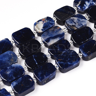 Natural Sodalite Beads Strands G-T138-09-1
