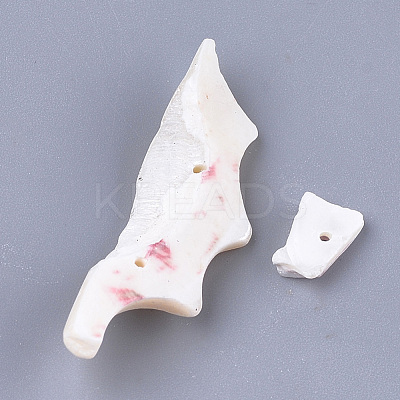 Sea Shell Beads SSHEL-T008-18-1