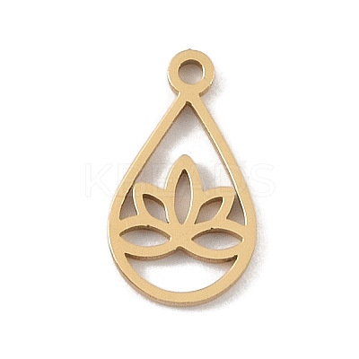 304 Stainless Steel Charms STAS-B062-04G-1