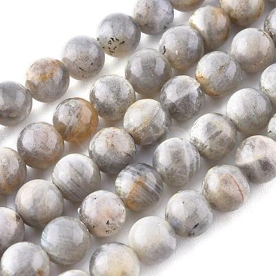 Natural Labradorite Beads Strands X-G-G212-8mm-23-1