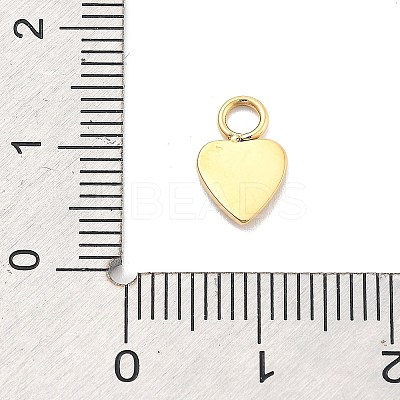 Ion Plating(IP) 304 Stainless Steel Charms STAS-P379-35G-1