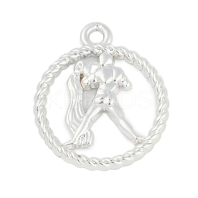 Twelve Constellations Alloy Pendants PALLOY-Q006-01E-S-1