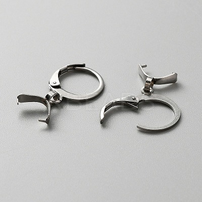 304 Stainless Steel Leverback Earring Finding STAS-WH0022-87P-1