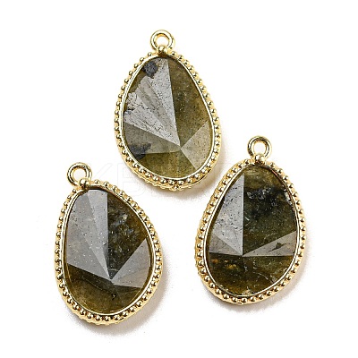 Natural Labradorite Faceted Pendants G-M431-14G-05-1