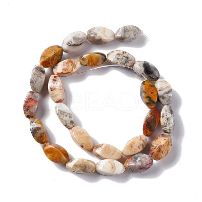 Natural Crazy Lace Agate Beads Strands G-L243A-20-1