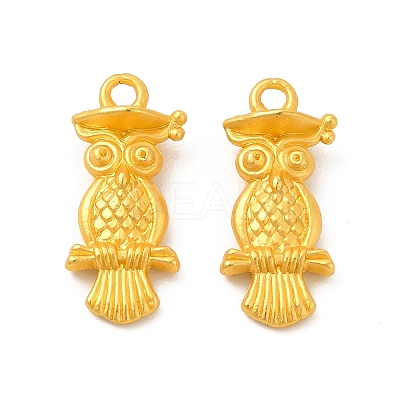 Rack Plating Alloy Pendants PALLOY-F287-12MG-1