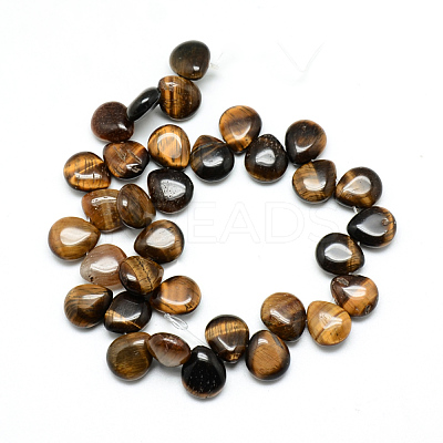 Natural Tiger Eye Gemstone Beads Strands G-T005-04-1