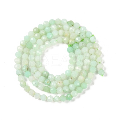 Natural Chrysoprase Beads Strands G-P542-A04-02-1