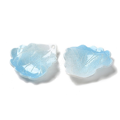 Acrylic Pendants SACR-C002-40C-1