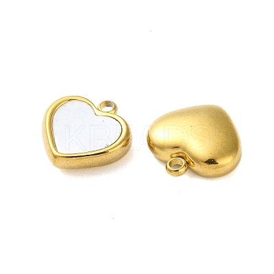304 Stainless Steel with Synthetic Shell Charms LS-STAS-G338-06G-1