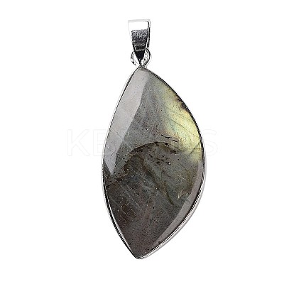 Natural Labradorite Teardrop Pendants G-L350-03-1