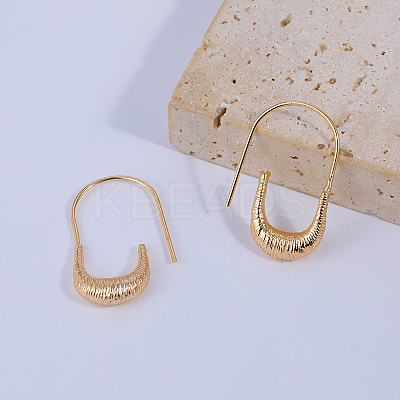 U-shaped Brass Dangle Earrings WD6040-1