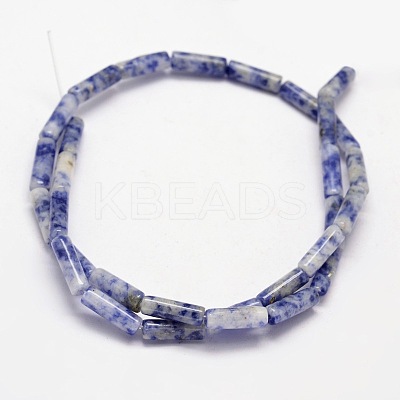 Natural Blue Spot Jasper Column Beads Strands X-G-F247-02-1