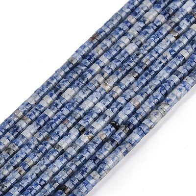 Natural Blue Spot Jasper Beads Strands G-H230-56-1