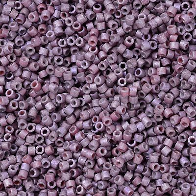 MIYUKI Delica Beads X-SEED-J020-DB1066-1