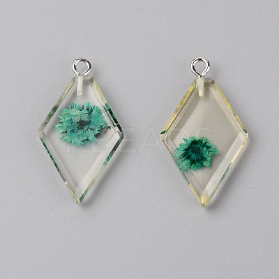 Transparent Clear Resin Pendants RESI-TAC0007-06D-1
