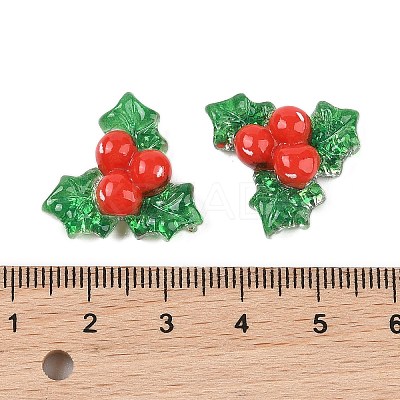 Christmas Series Cute Transparent Resin Decoden Cabochons RESI-S03-03H-1
