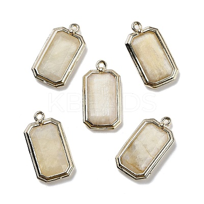 Natural Moonstone Pendants G-U019-04G-05-1