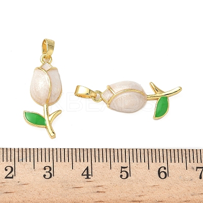 Brass Enamel Pendants KK-I371-33G-01-1