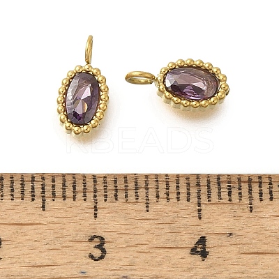 304 Stainless Steel Micro Pave Cubic Zirconia Charms STAS-U027-02G-06-1