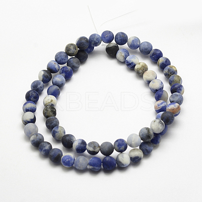Natural Sodalite Beads Strands G-J364-01-10mm-1